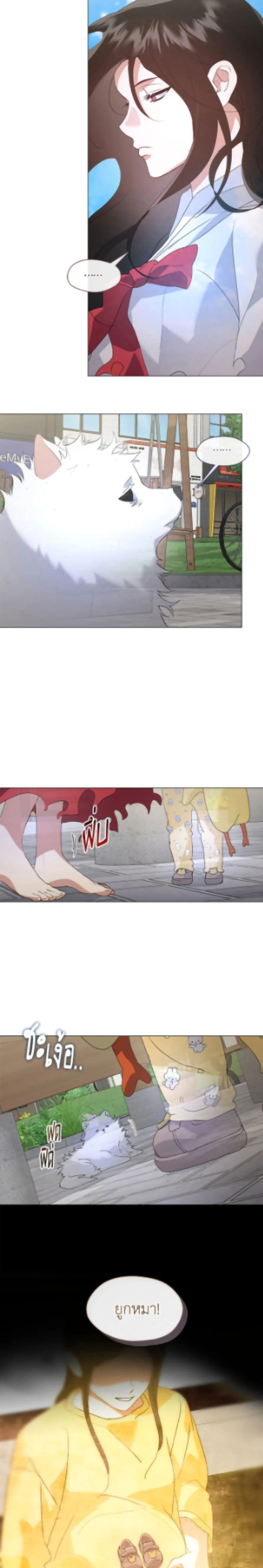 หน้าที่ 13