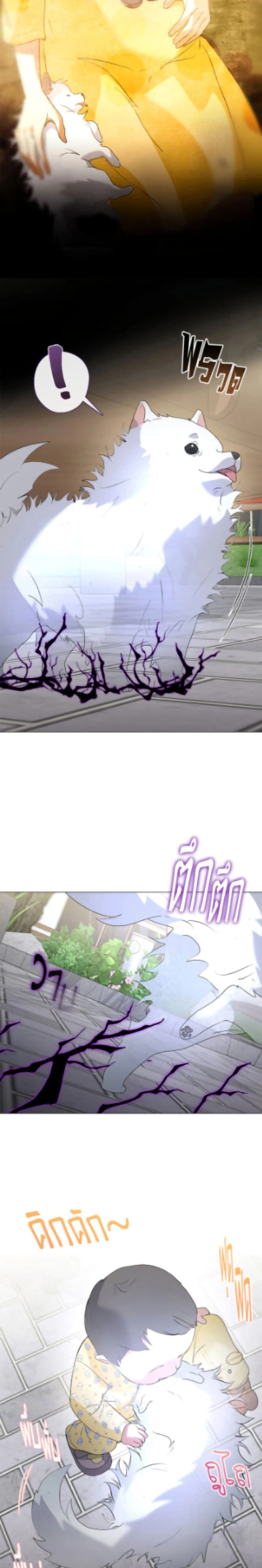 หน้าที่ 14