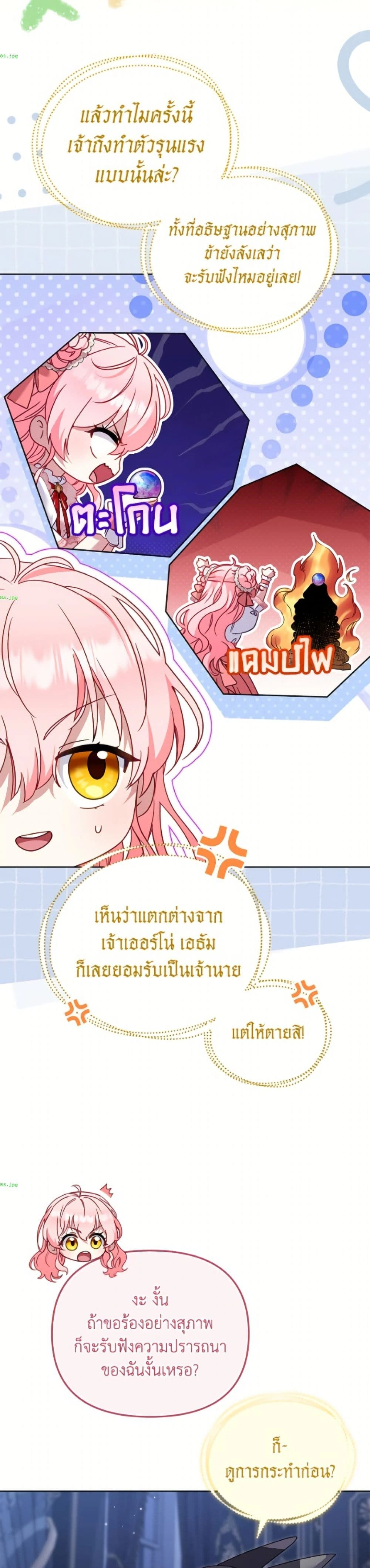 หน้าที่ 29