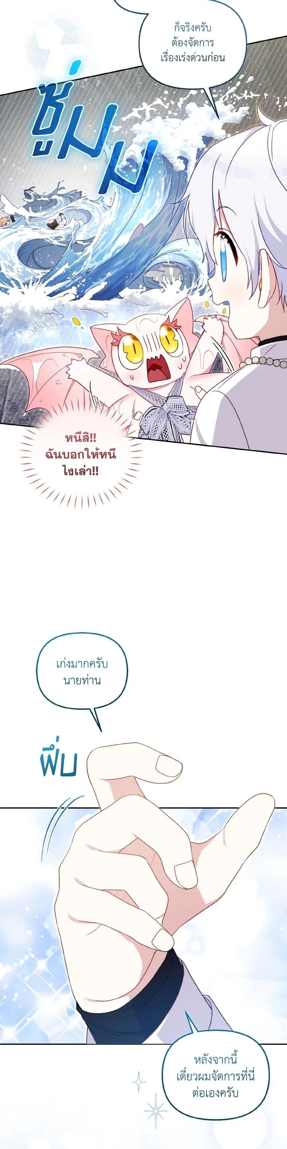 หน้าที่ 29