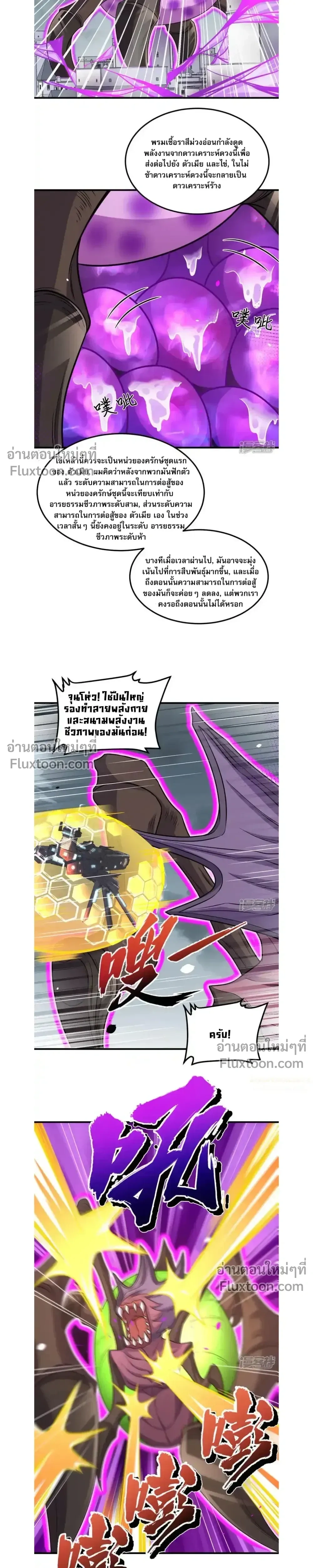 หน้าที่ 13