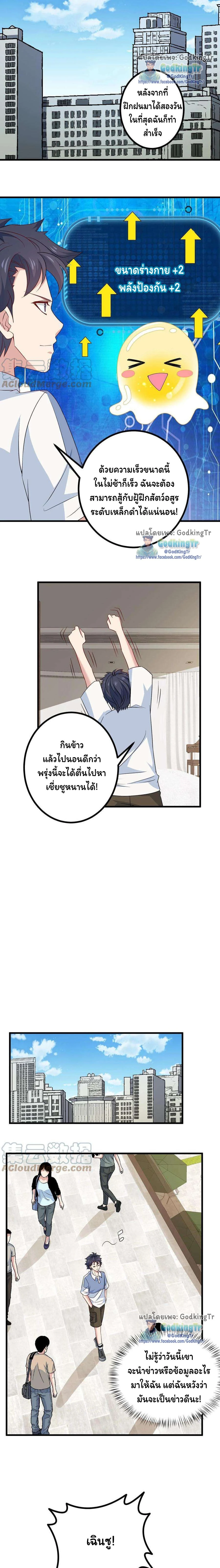 หน้าที่ 8