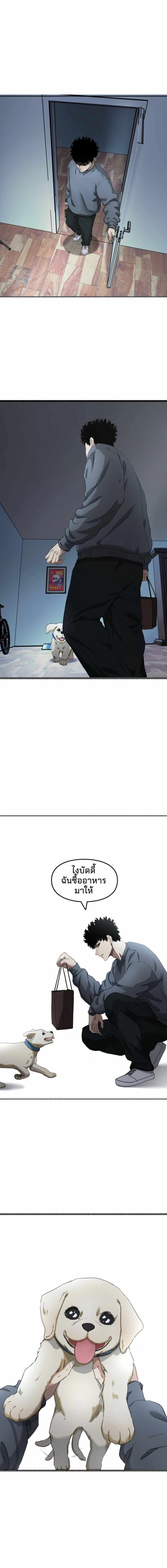 หน้าที่ 1