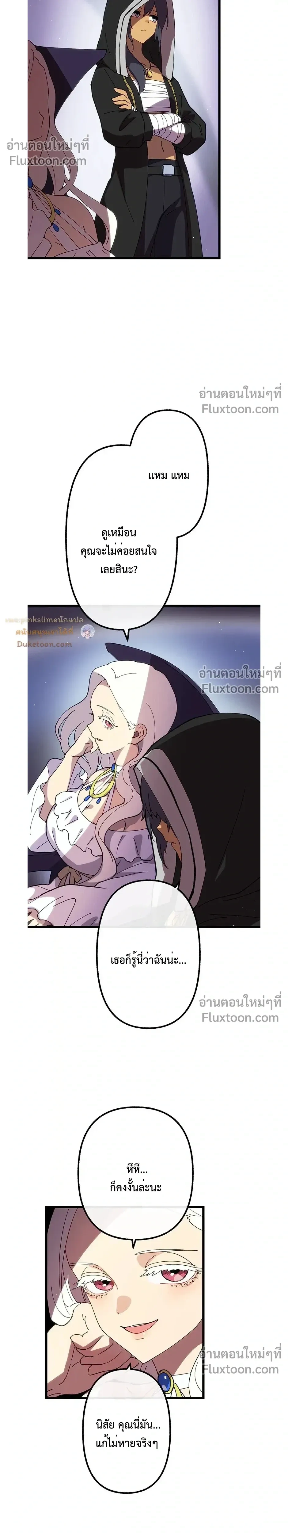 หน้าที่ 13