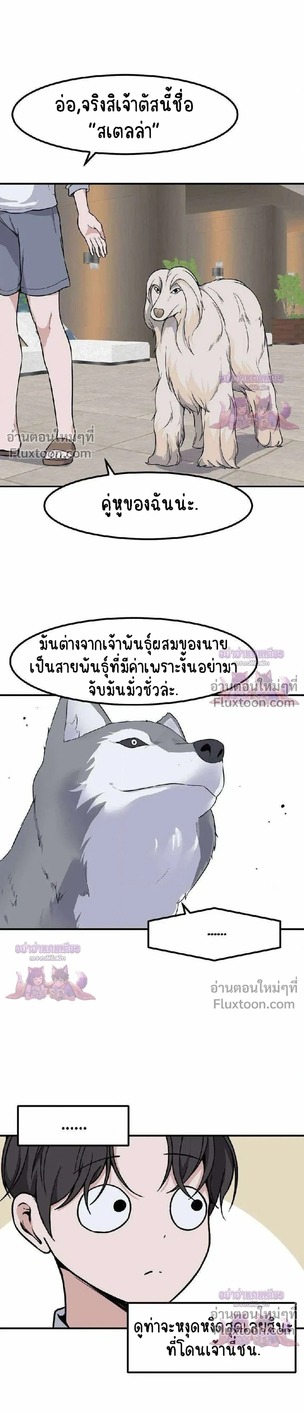 หน้าที่ 14