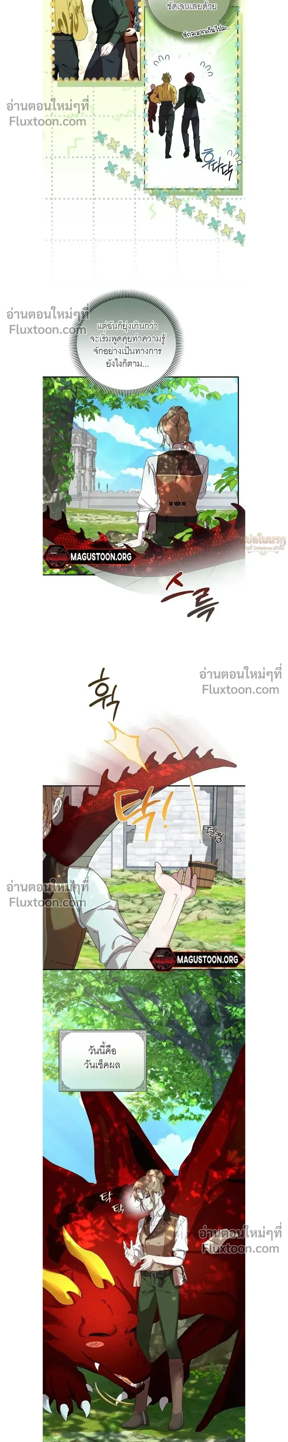 หน้าที่ 17