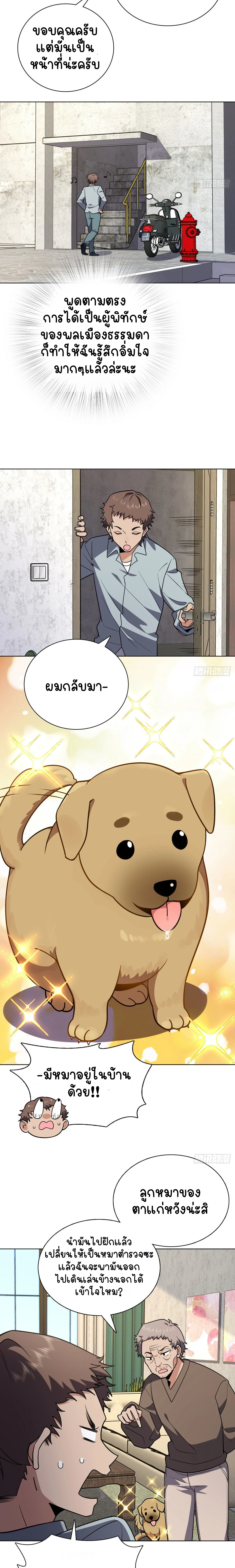 หน้าที่ 13