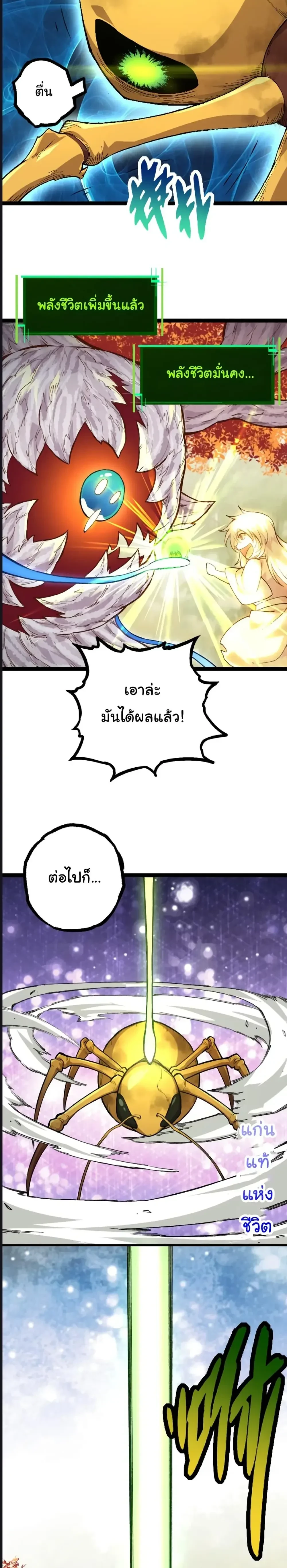 หน้าที่ 13