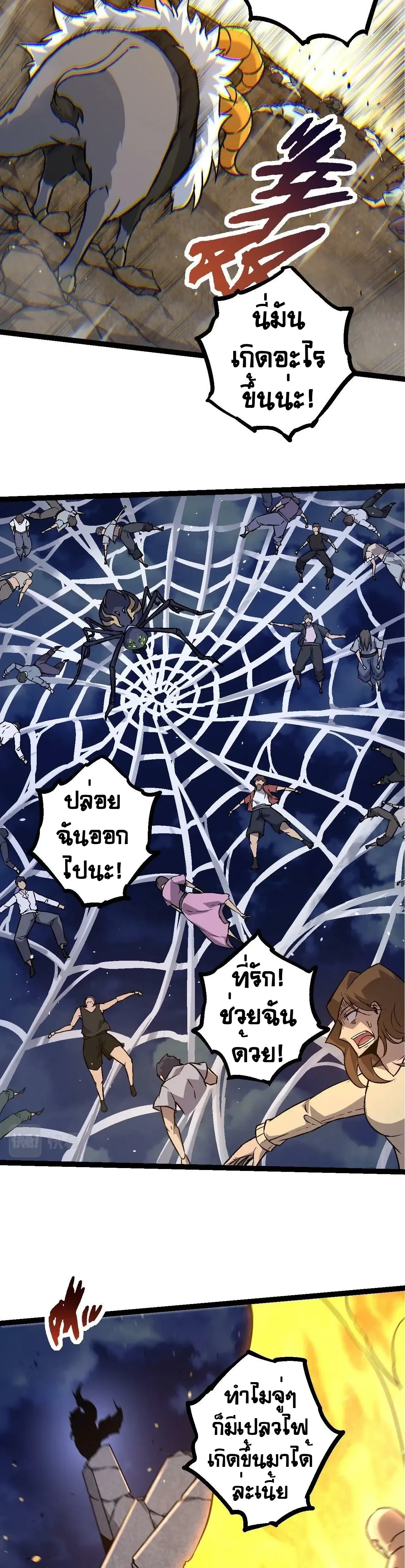 หน้าที่ 24