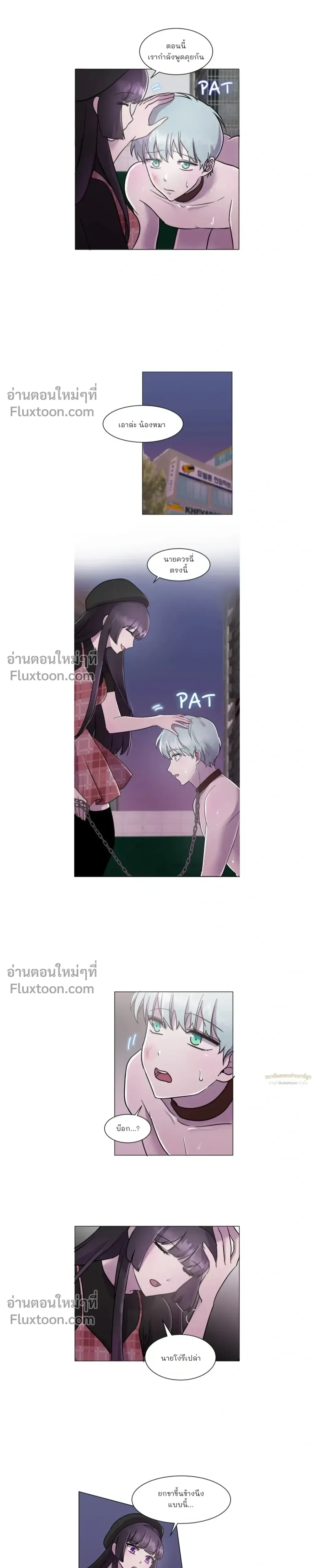 หน้าที่ 13