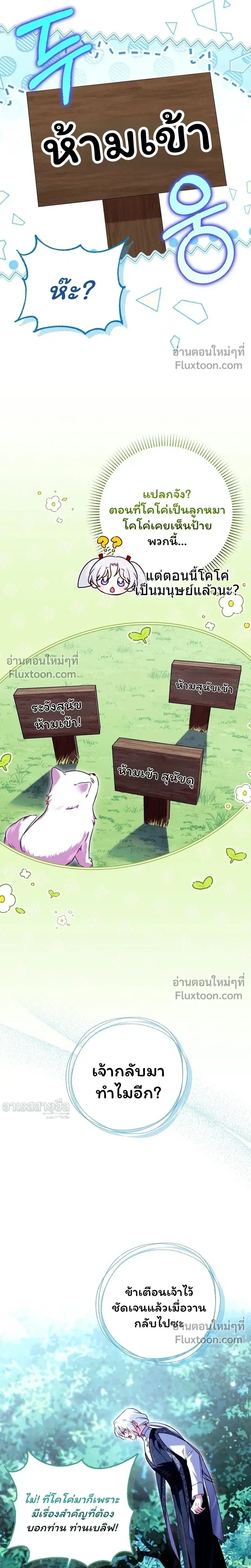 หน้าที่ 45