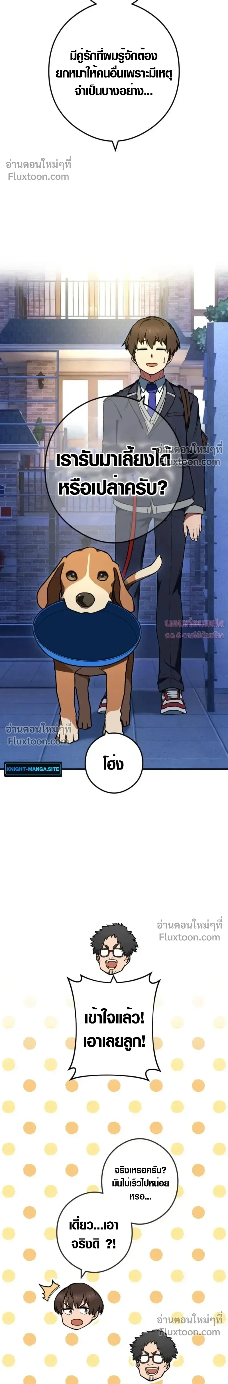 หน้าที่ 37