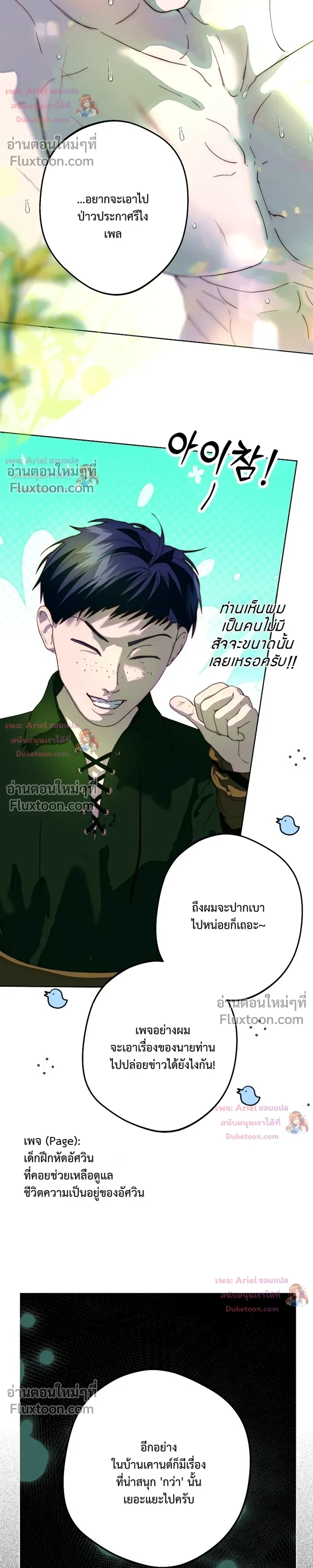 หน้าที่ 29