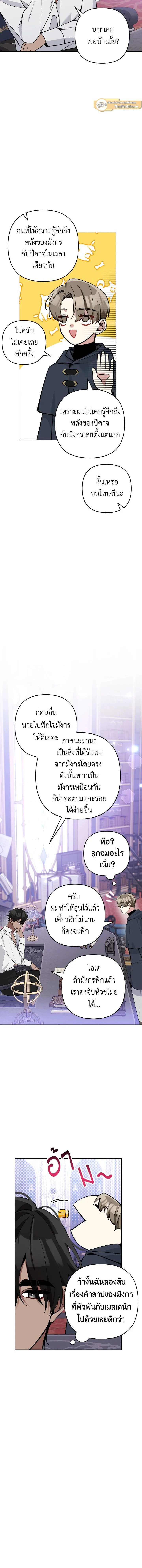 หน้าที่ 13
