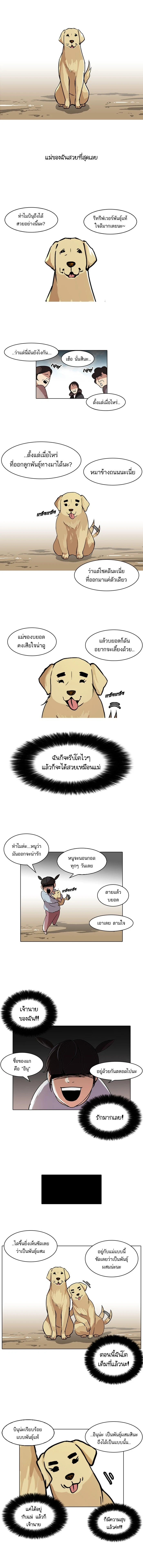 หน้าที่ 1