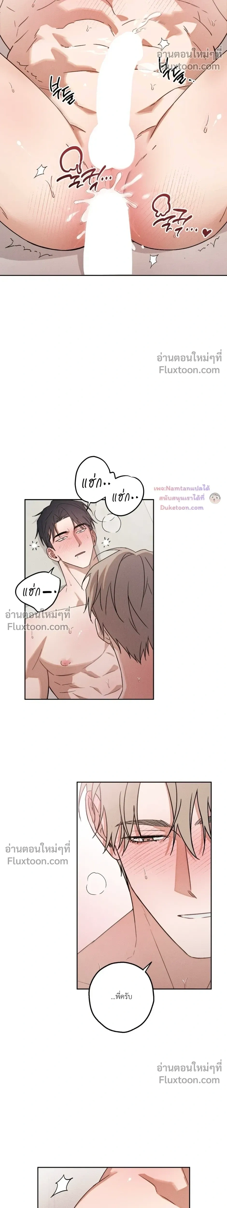 หน้าที่ 17