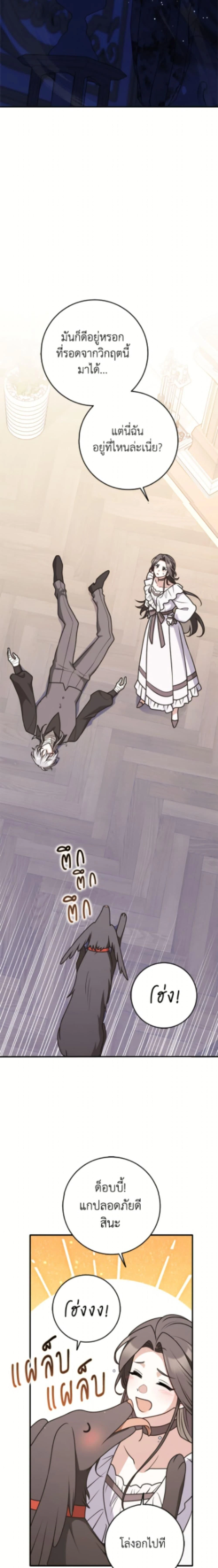 หน้าที่ 17