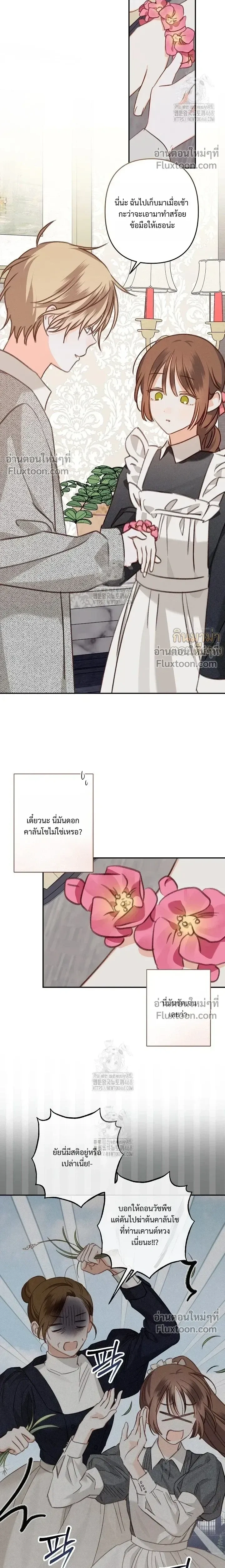 หน้าที่ 13
