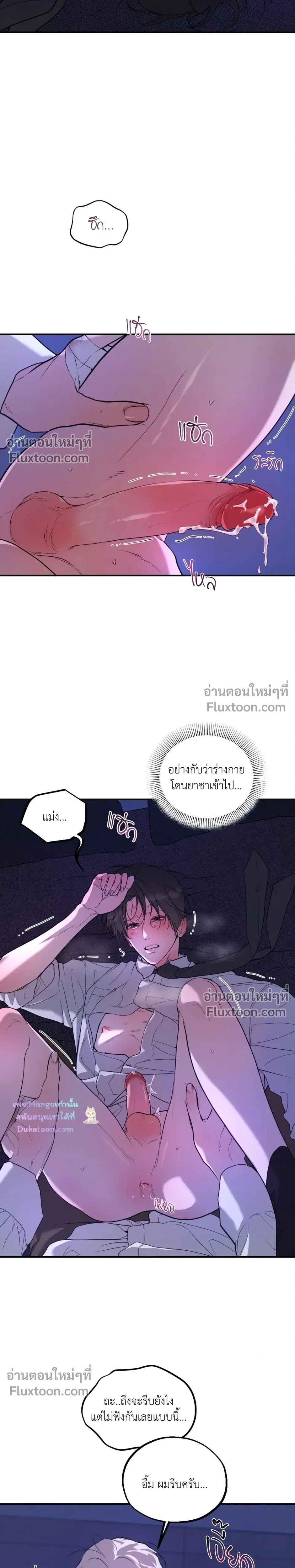 หน้าที่ 13