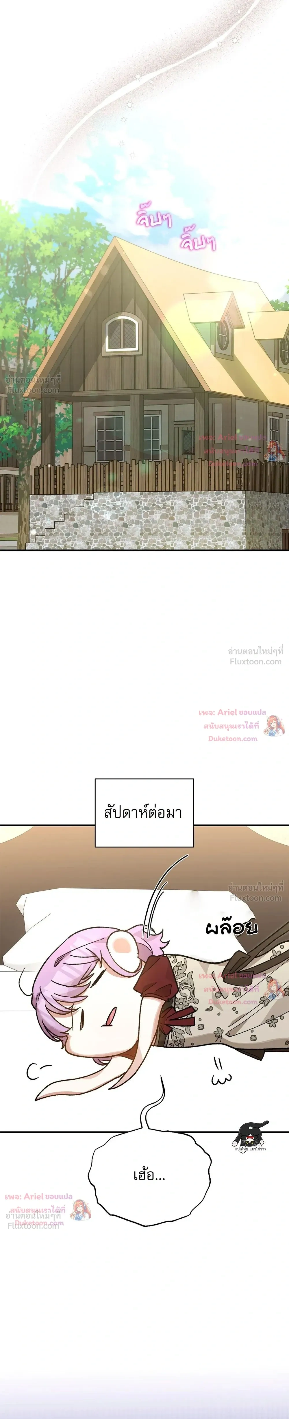 หน้าที่ 3