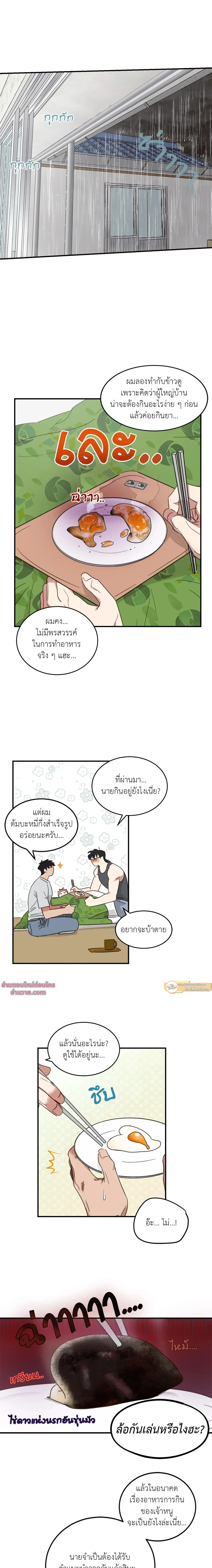 หน้าที่ 11