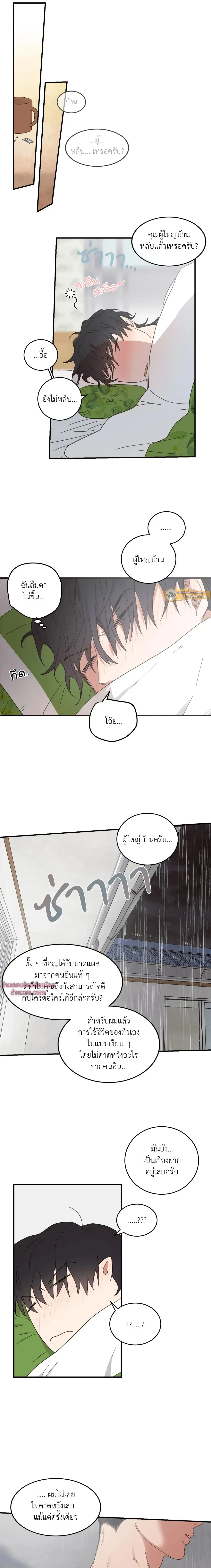 หน้าที่ 13