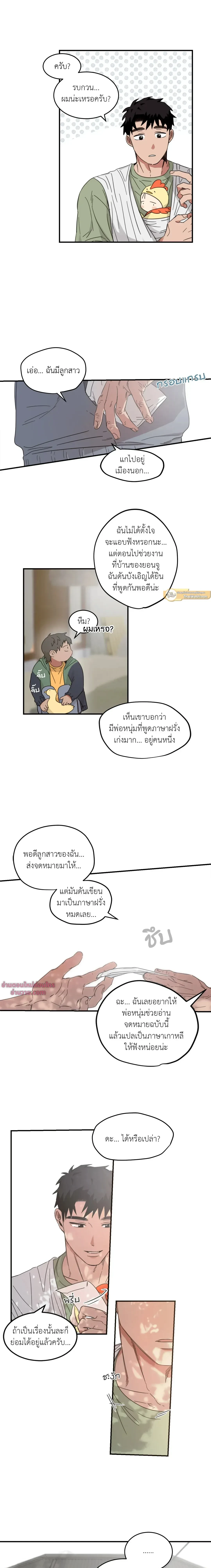หน้าที่ 13