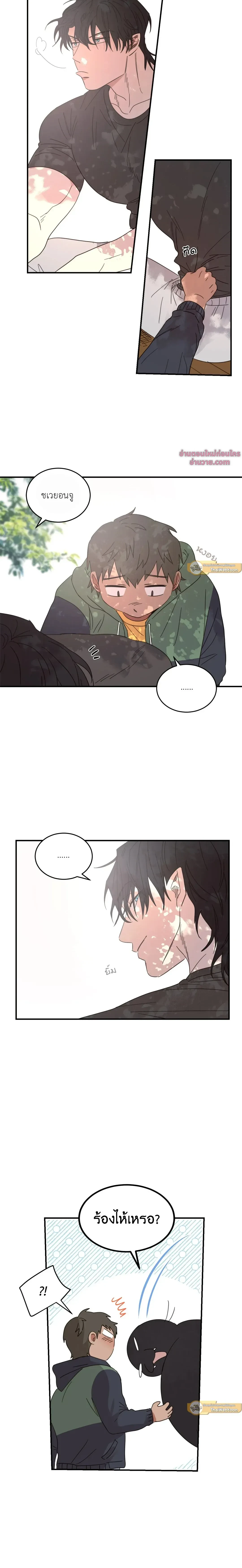 หน้าที่ 8