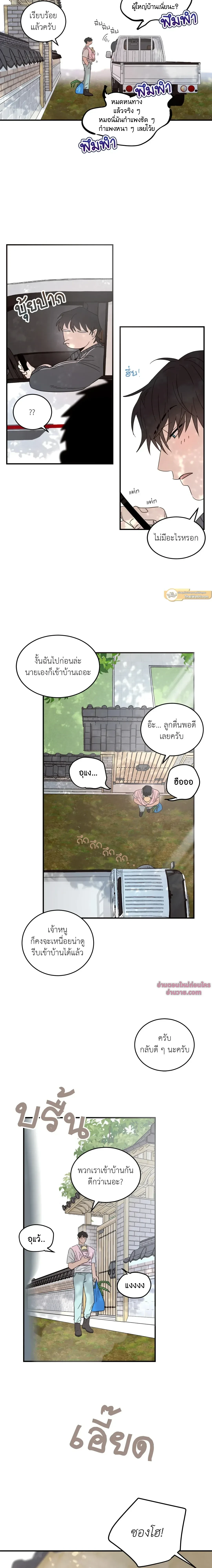 หน้าที่ 13
