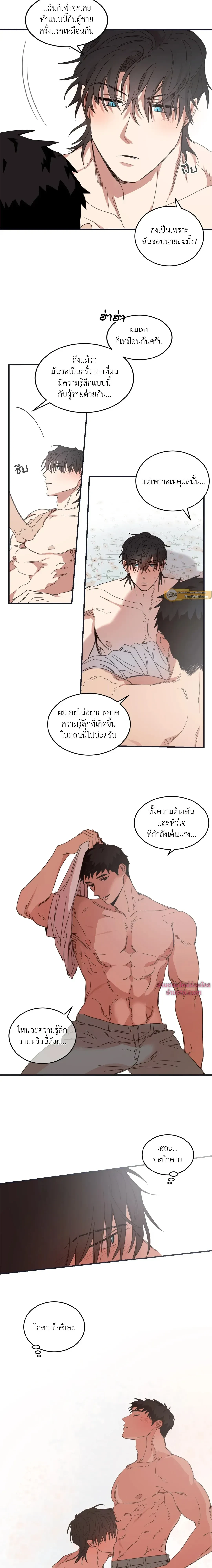 หน้าที่ 13