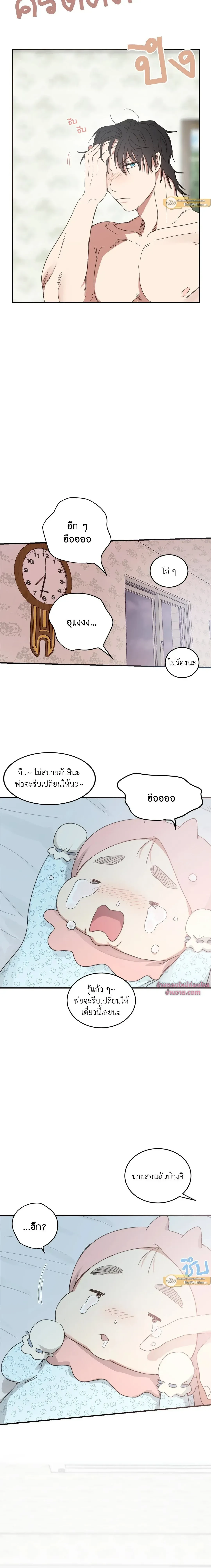 หน้าที่ 17