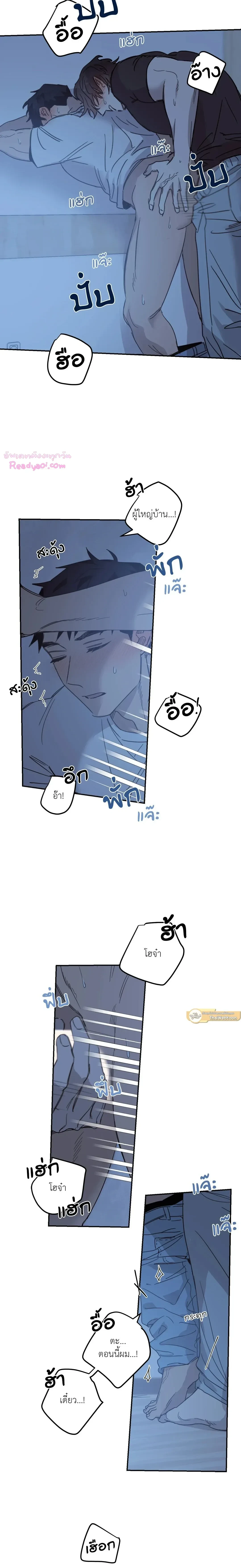 หน้าที่ 13