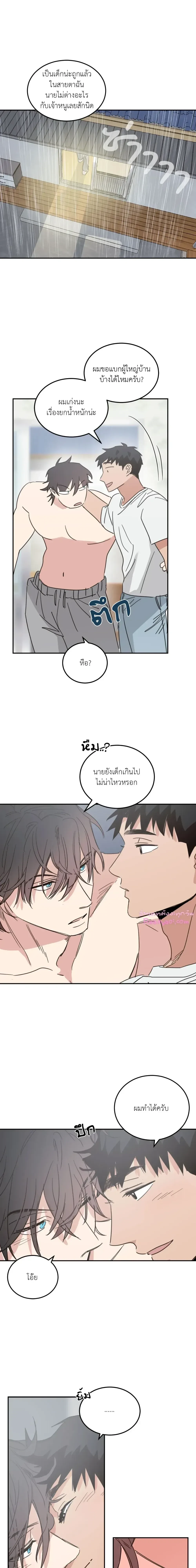 หน้าที่ 11