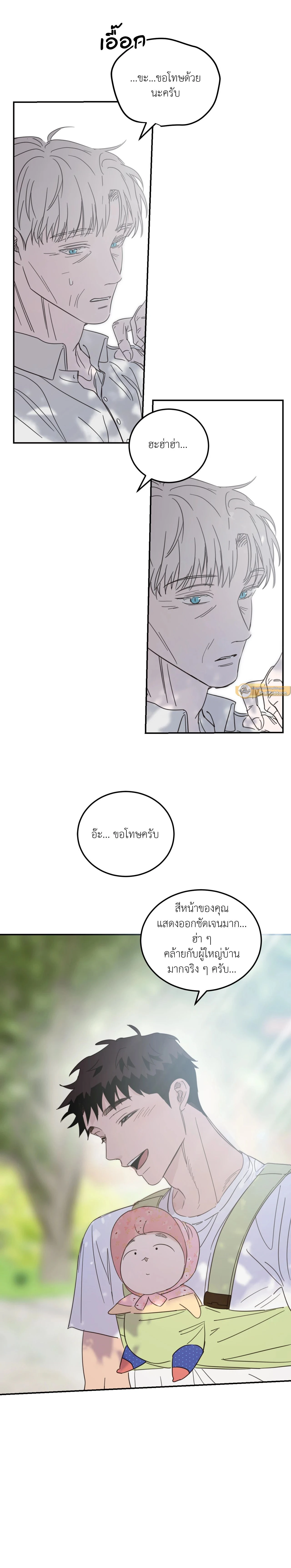 หน้าที่ 17