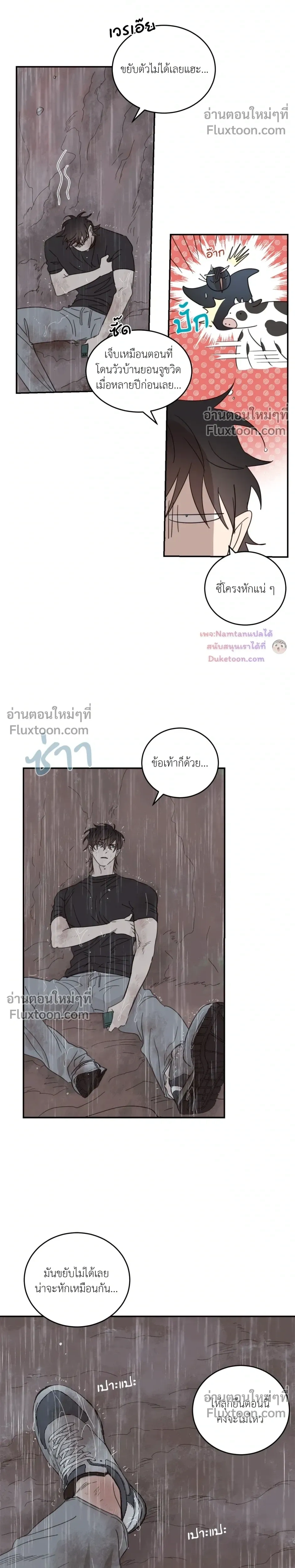 หน้าที่ 8