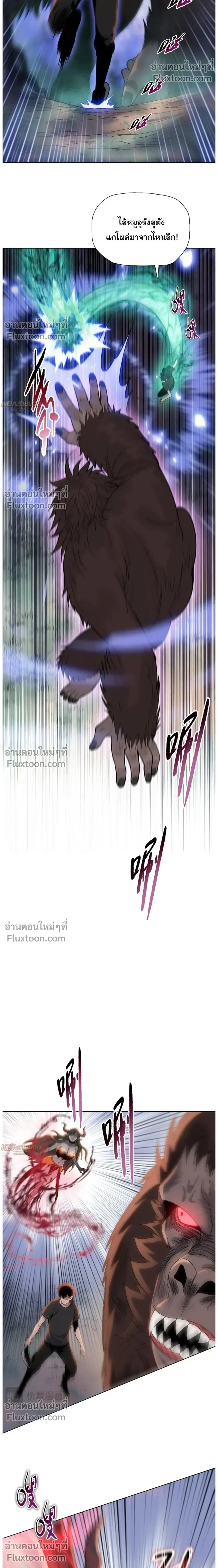 หน้าที่ 17