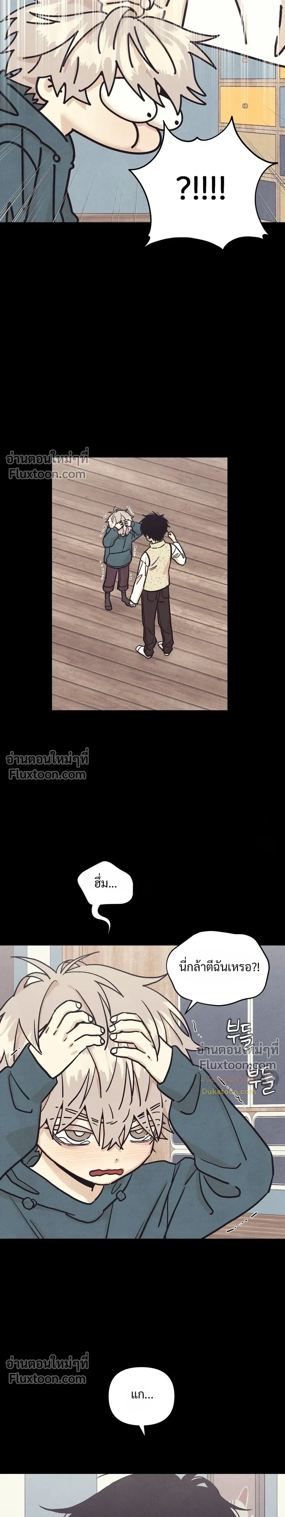 หน้าที่ 13