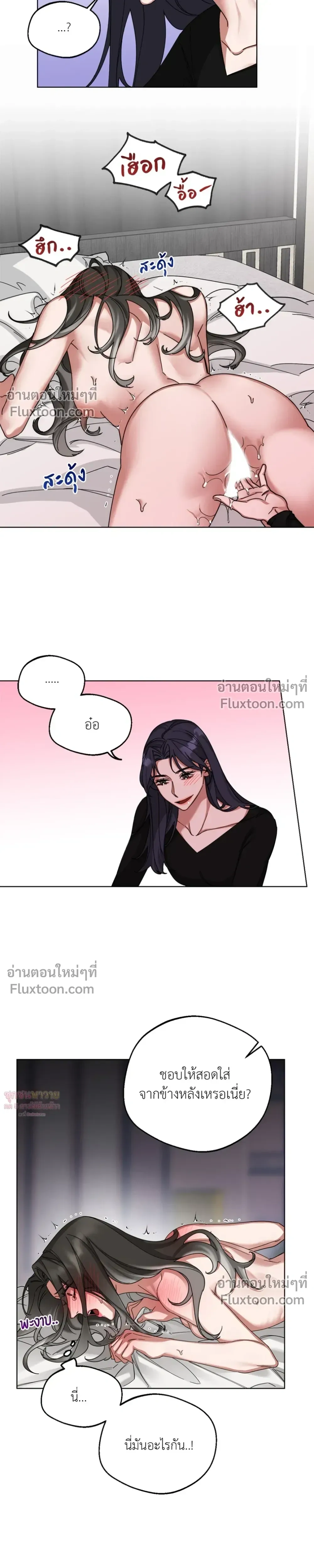 หน้าที่ 13