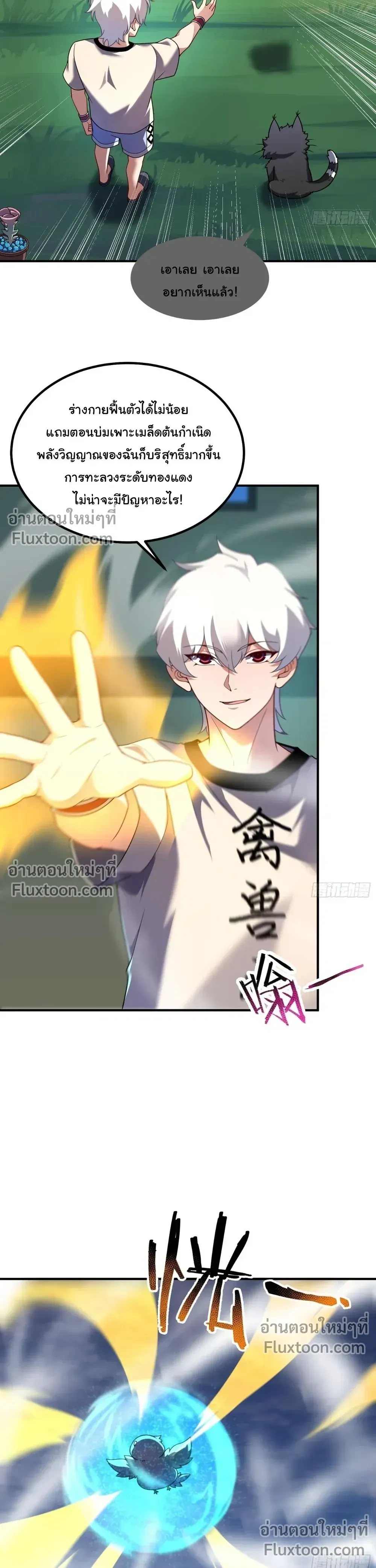 หน้าที่ 13