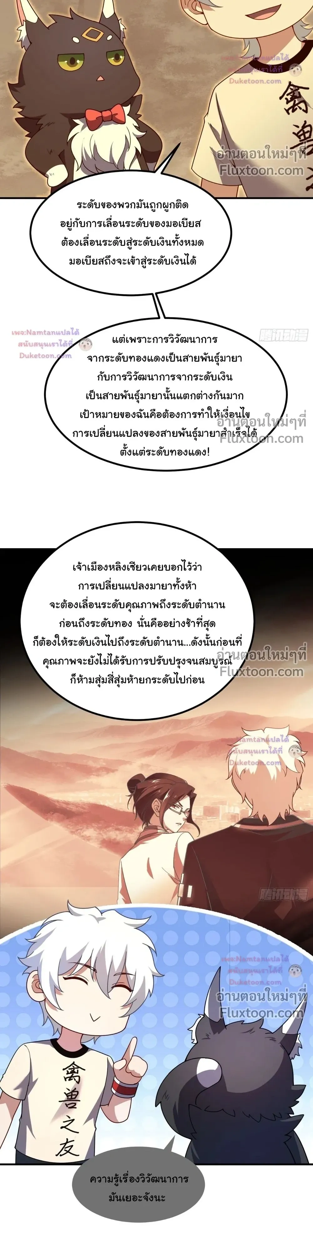 หน้าที่ 11