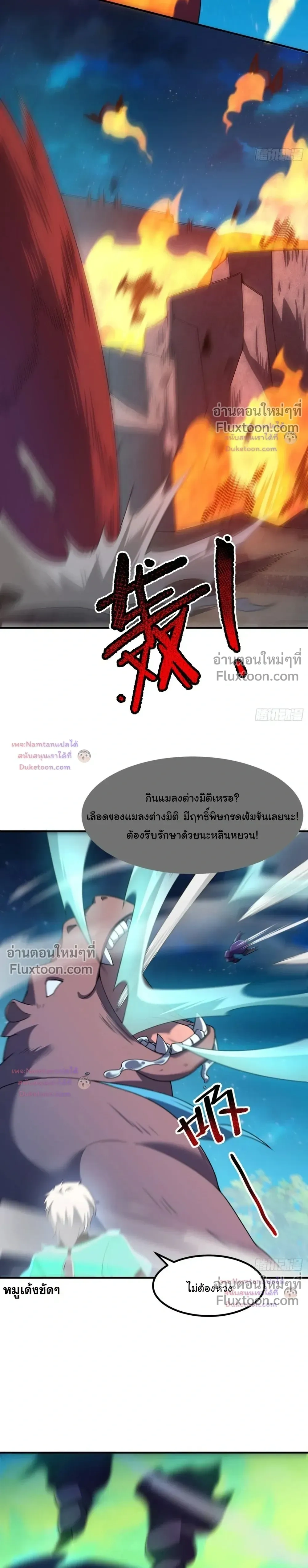 หน้าที่ 13