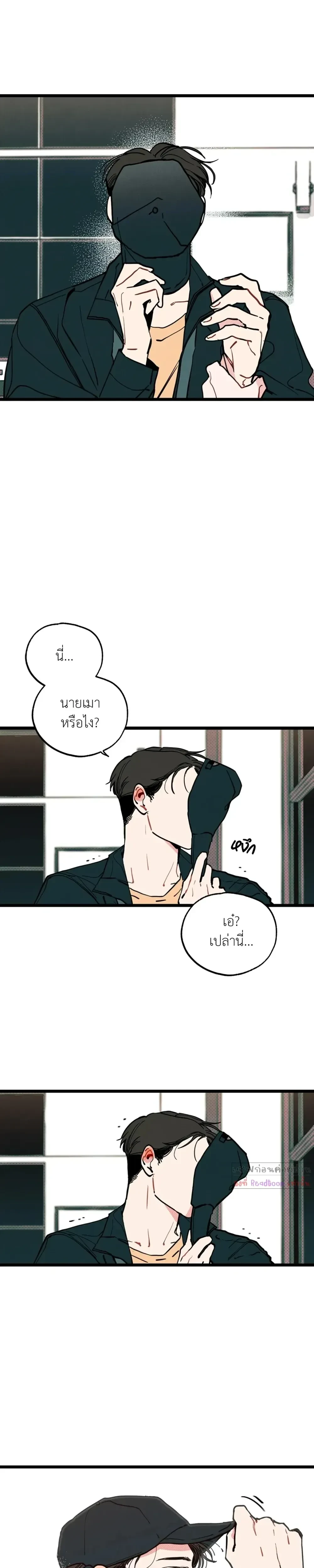 หน้าที่ 13