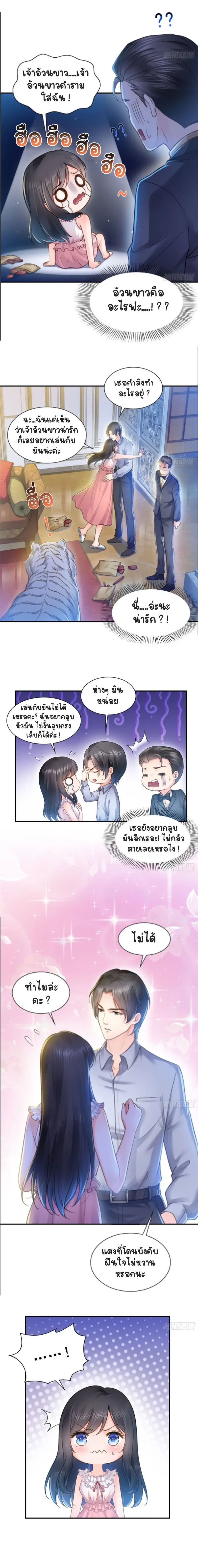 หน้าที่ 6