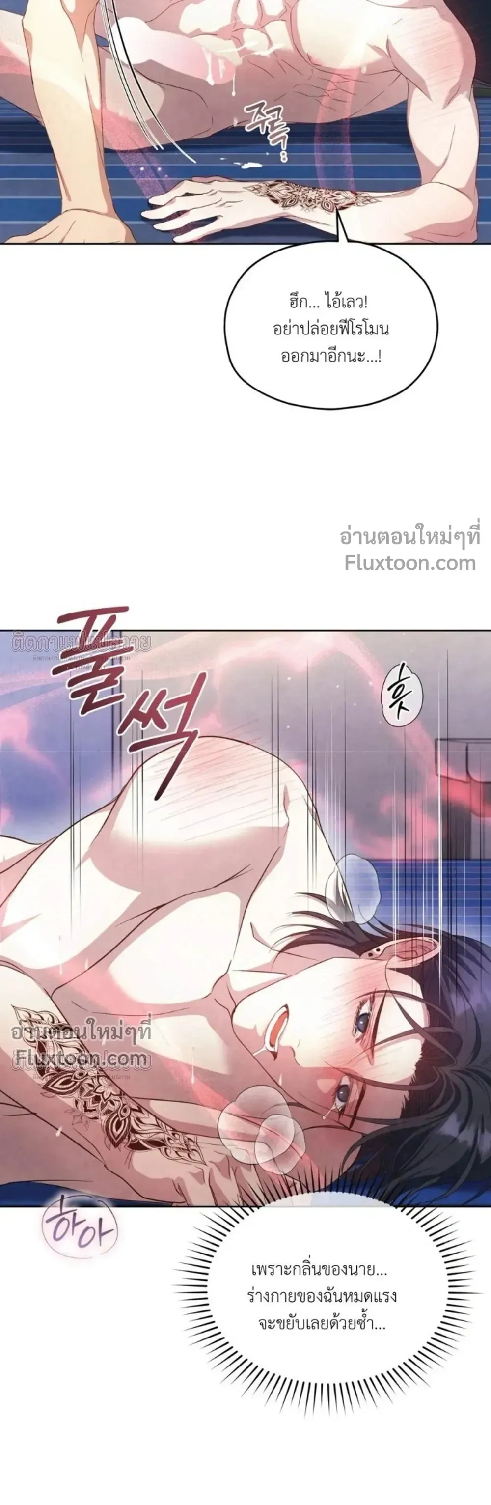 หน้าที่ 17
