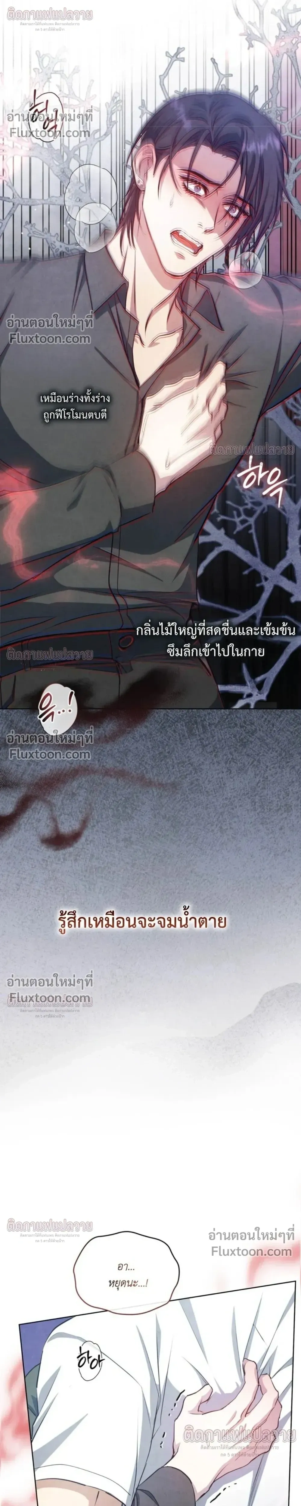 หน้าที่ 28