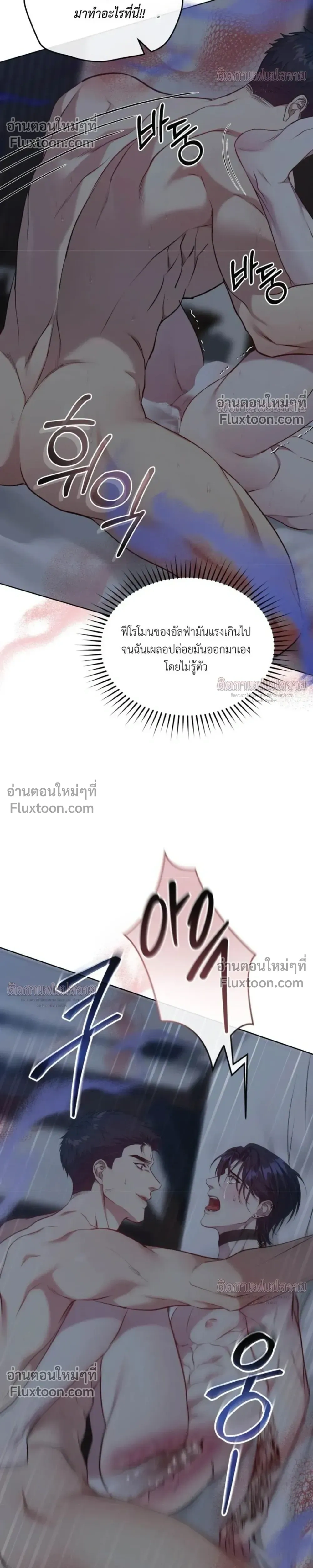 หน้าที่ 31