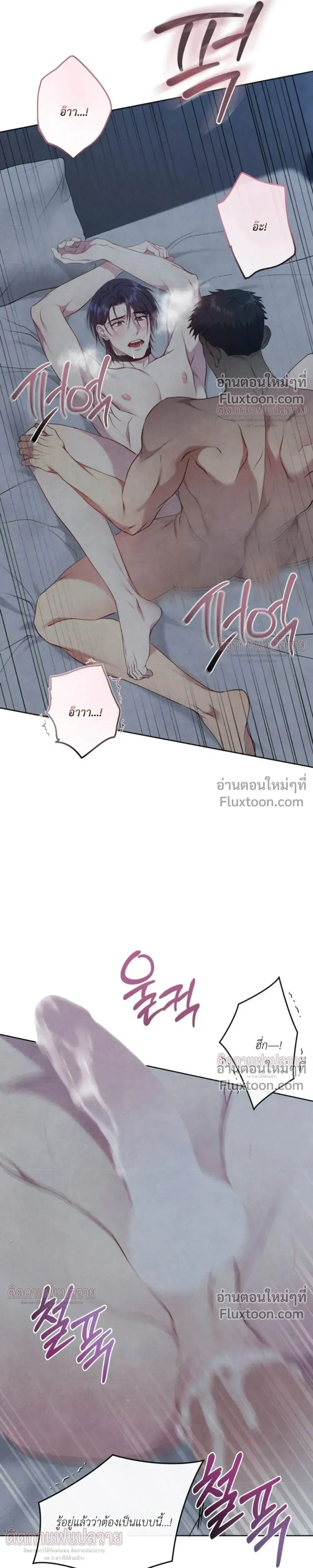 หน้าที่ 24
