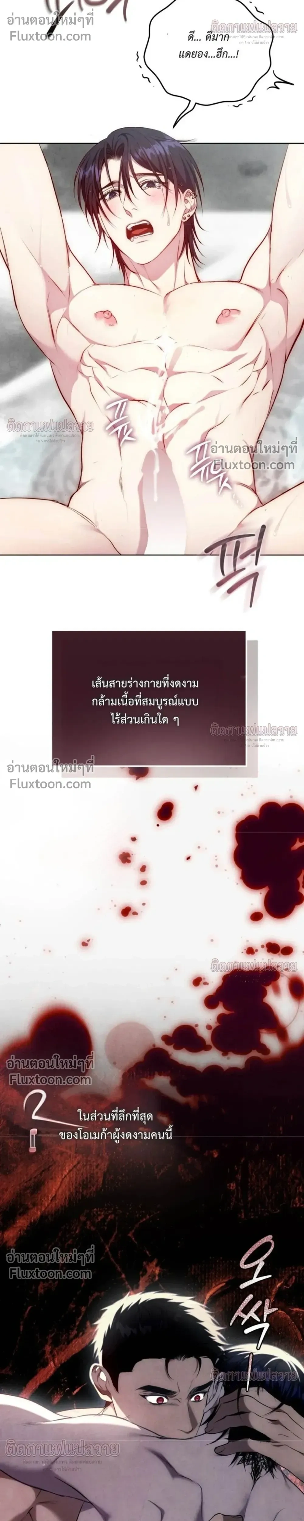 หน้าที่ 37