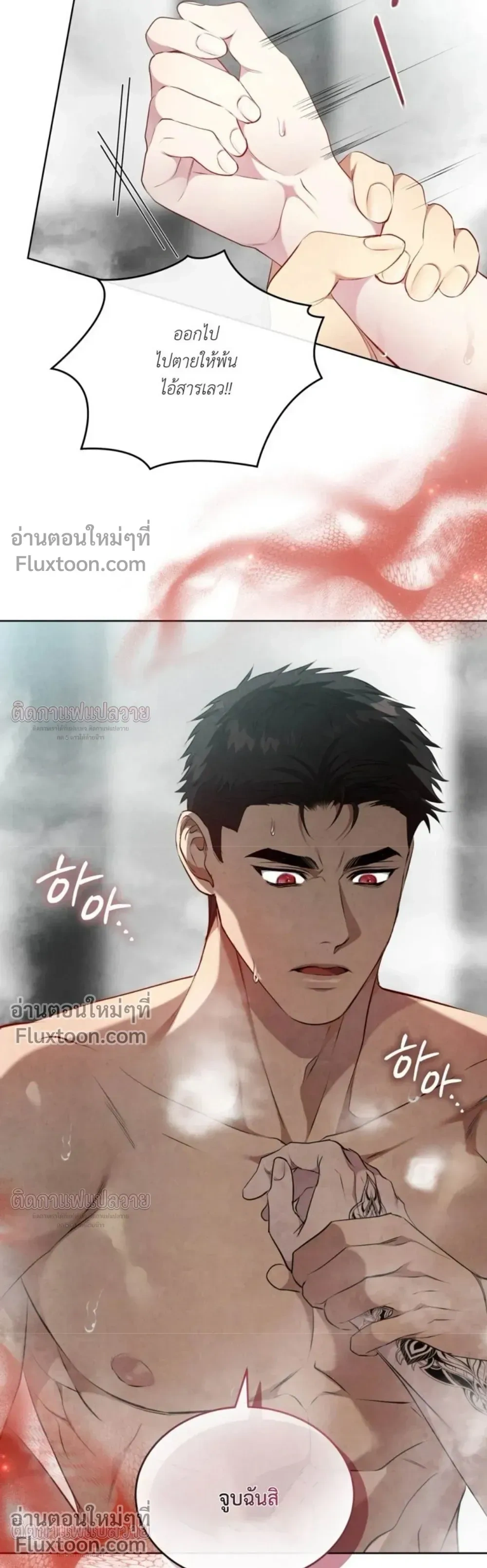 หน้าที่ 17