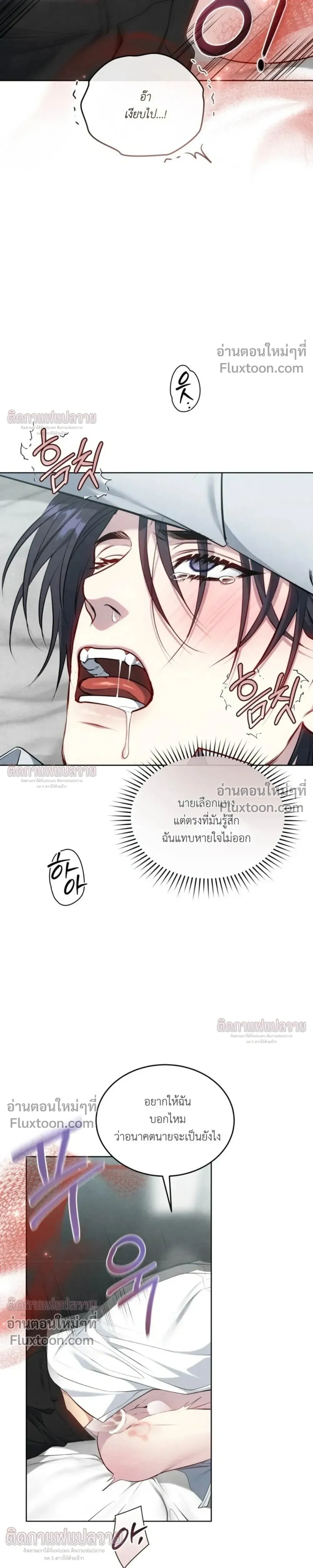 หน้าที่ 24